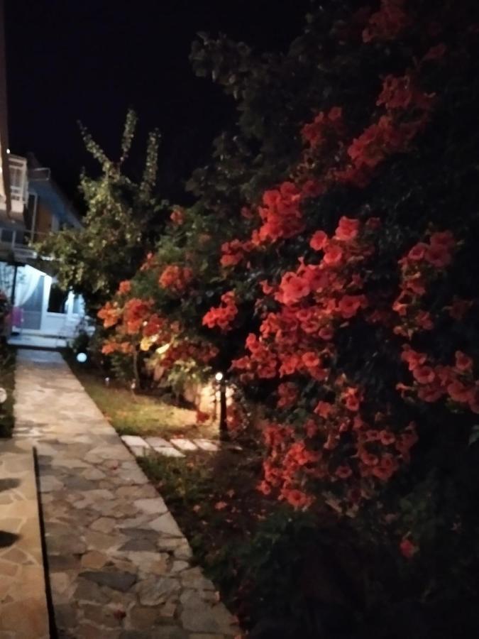 Villa Alekos Limenas  Eksteriør billede